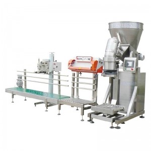 大袋粉末包裝機-防爆包裝機-上海包裝機械設備